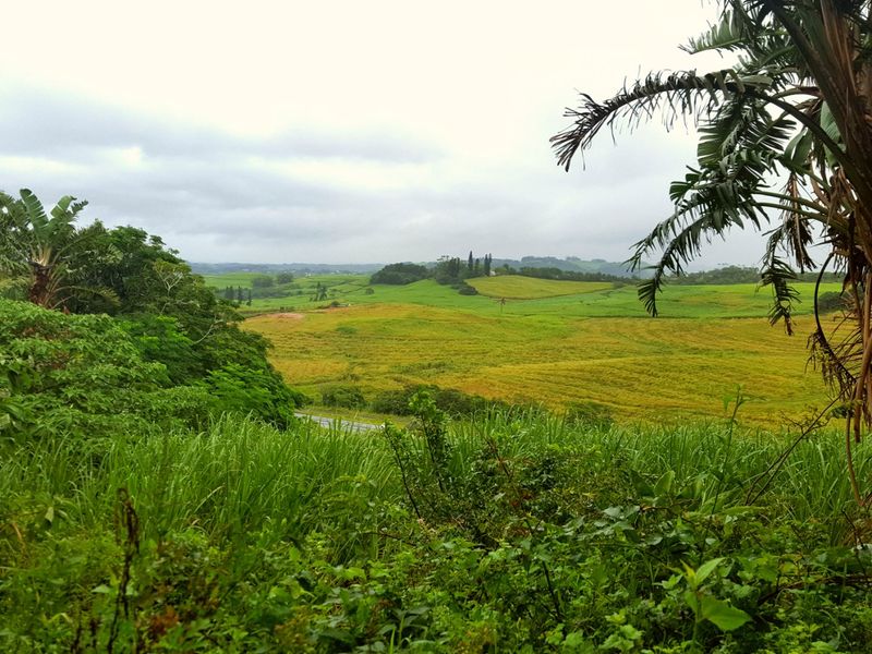 Expansive scenic view overlooking rolling green hills and agricultural landscape, showcasing the natural beauty and open space of the property.