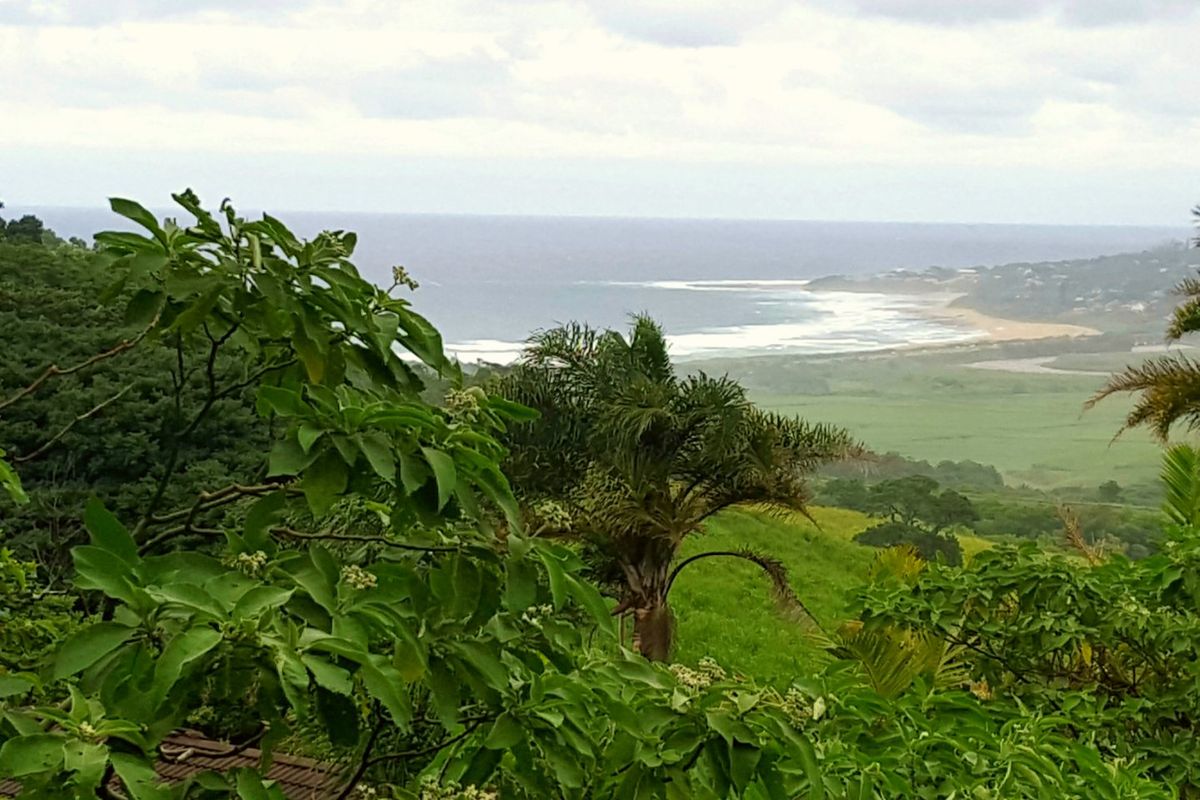 A scenic elevated view overlooking the coastline, lush green landscape, and ocean horizon.