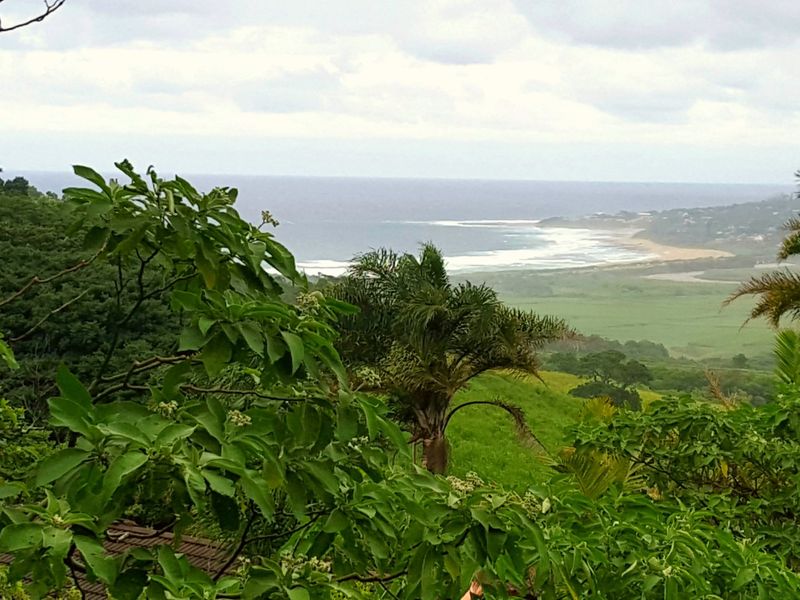 A scenic elevated view overlooking the coastline, lush green landscape, and ocean horizon.