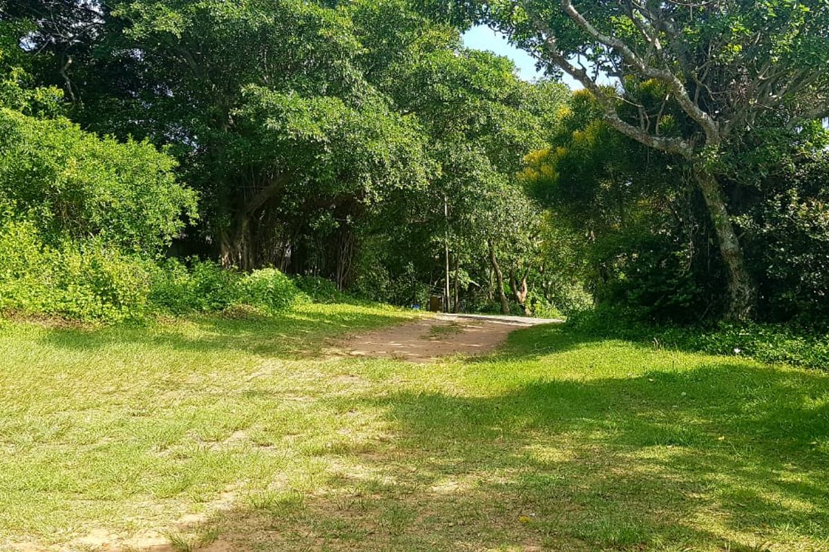 A view of a vacant residential plot featuring a grassy lawn and mature trees, offering a natural setting for potential development.
