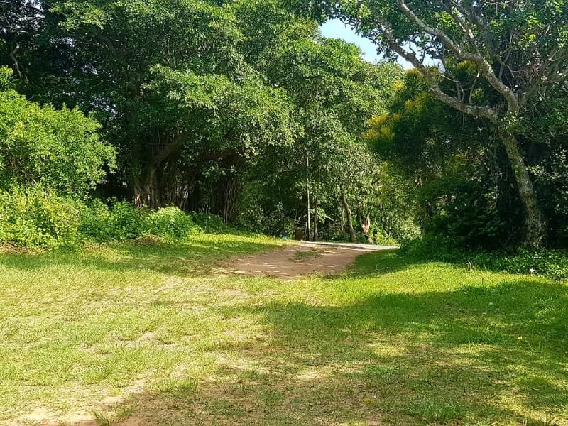 A view of a vacant residential plot featuring a grassy lawn and mature trees, offering a natural setting for potential development.