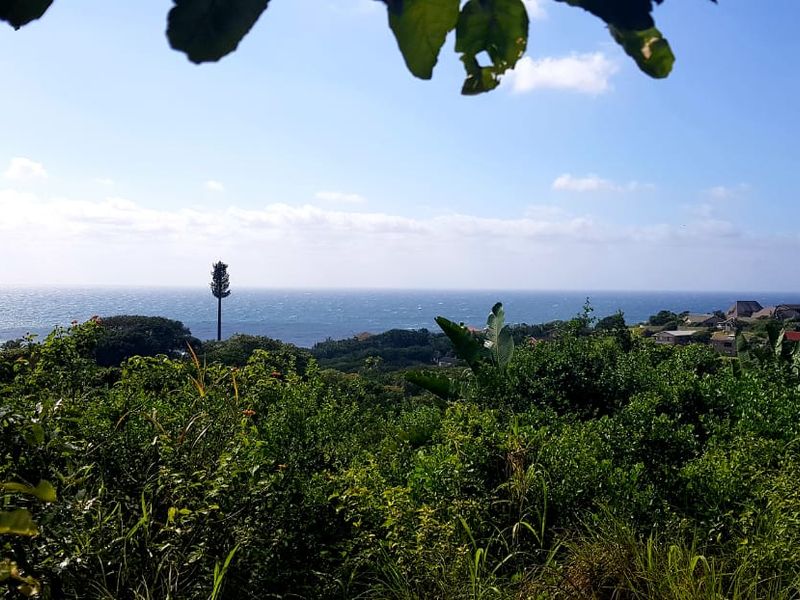 A scenic elevated view overlooking lush coastal vegetation and the ocean horizon.