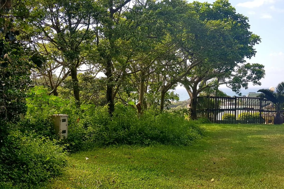 A spacious residential garden area featuring established trees, a well-maintained lawn, and perimeter fencing, offering a private outdoor setting.