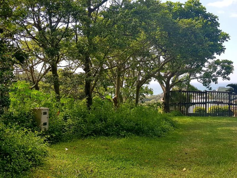 A spacious residential garden area featuring established trees, a well-maintained lawn, and perimeter fencing, offering a private outdoor setting.