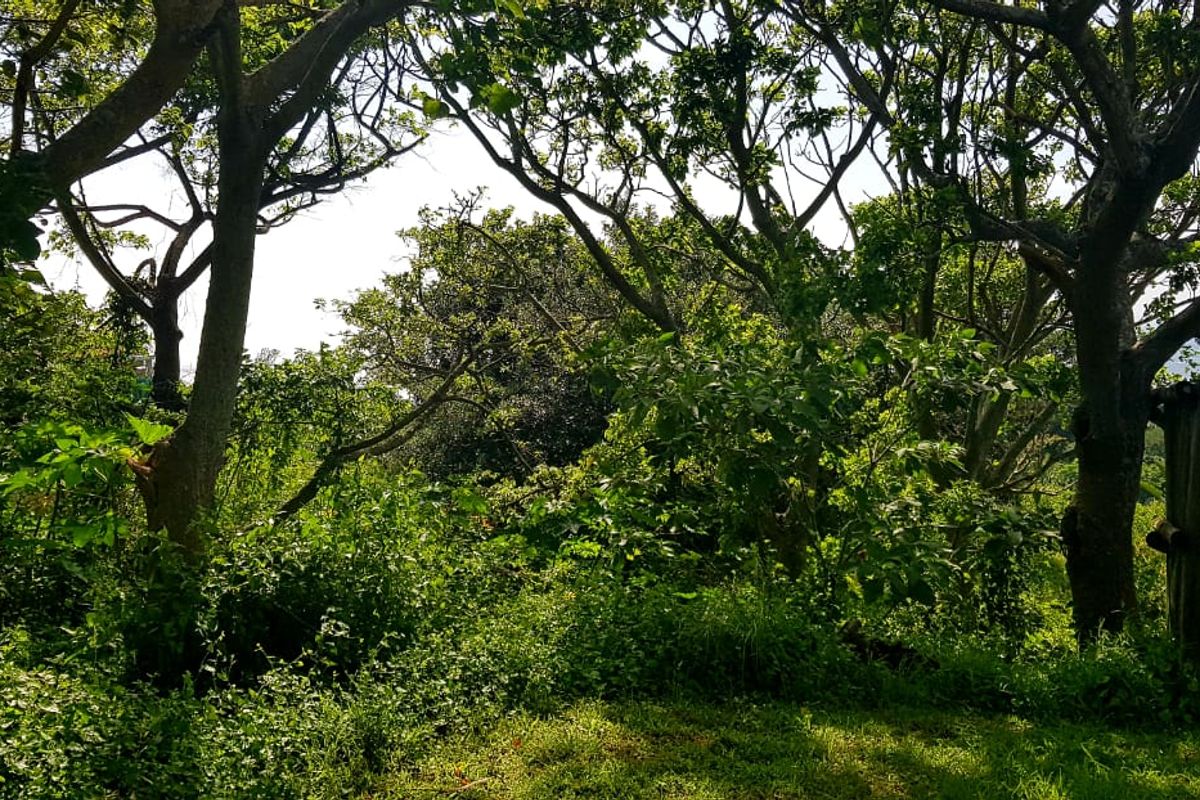 A Good Vacant Stand in a Cul-De-Sac with Ocean Views! - Photo 3