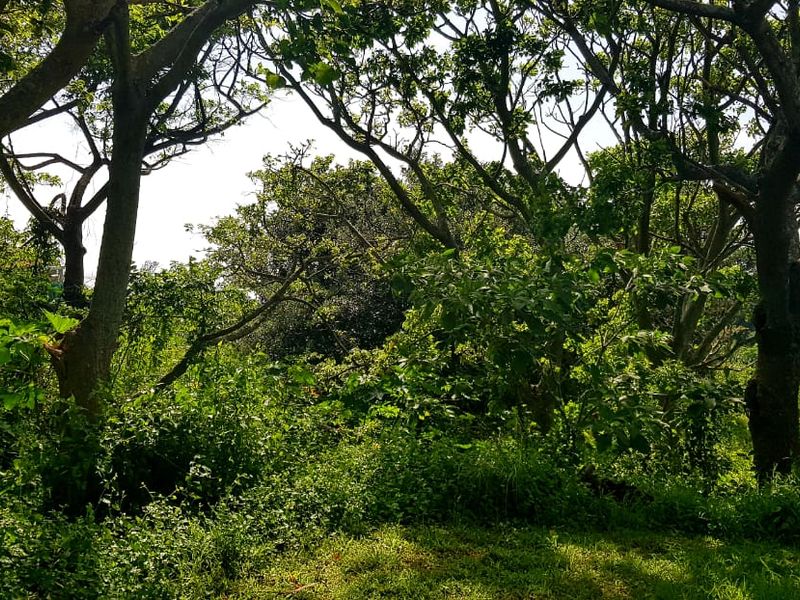 A Good Vacant Stand in a Cul-De-Sac with Ocean Views! - Photo 3