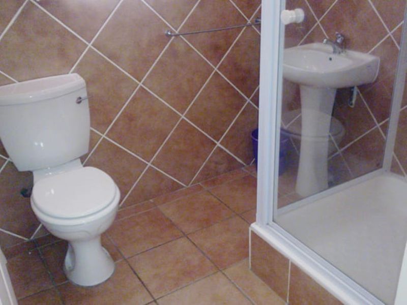 A functional bathroom featuring a pedestal washbasin, toilet, and a glass-enclosed shower with brown tiled walls and flooring.