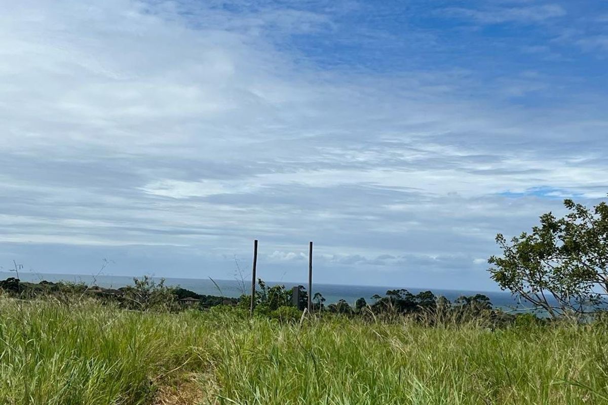 A scenic outdoor view overlooking a grassy landscape with a distant ocean horizon under a cloudy sky.