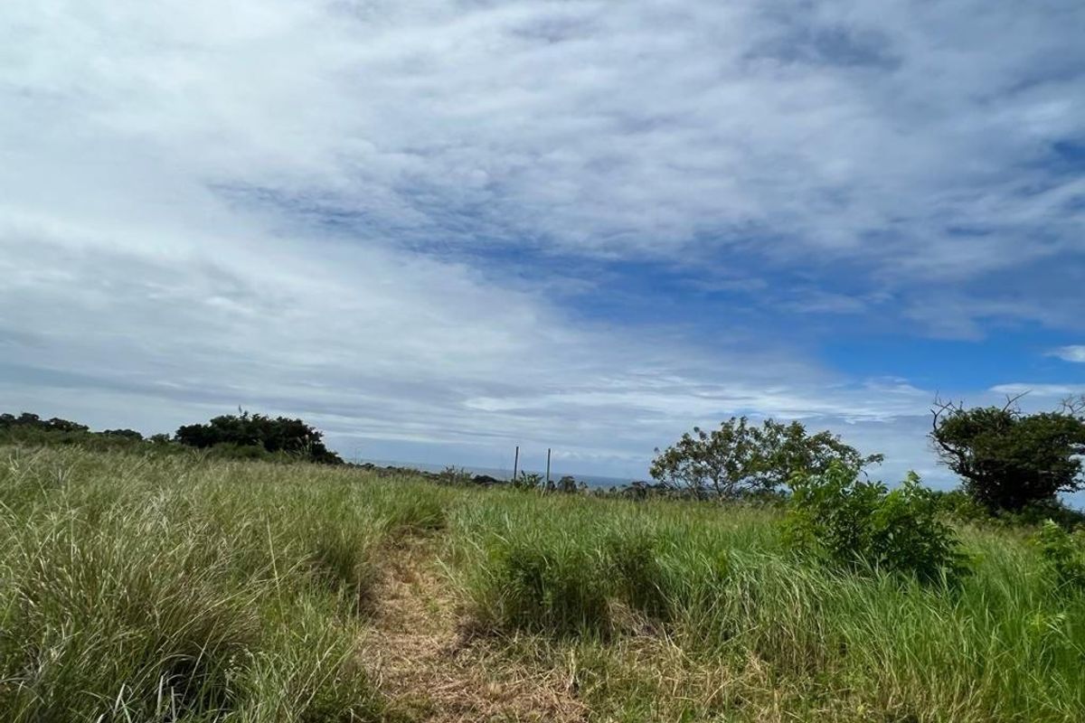 An expansive view of open, undeveloped land with natural vegetation and a distant horizon under a cloudy sky.