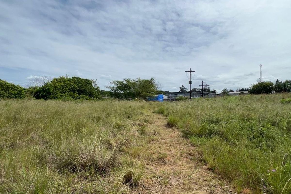 An expansive, undeveloped plot of land featuring natural grass coverage and visible utility infrastructure in the distance.