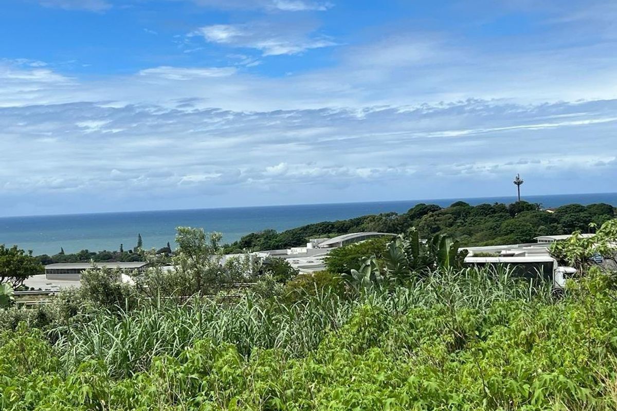 A scenic elevated view overlooking lush coastal vegetation with the ocean visible in the distance.