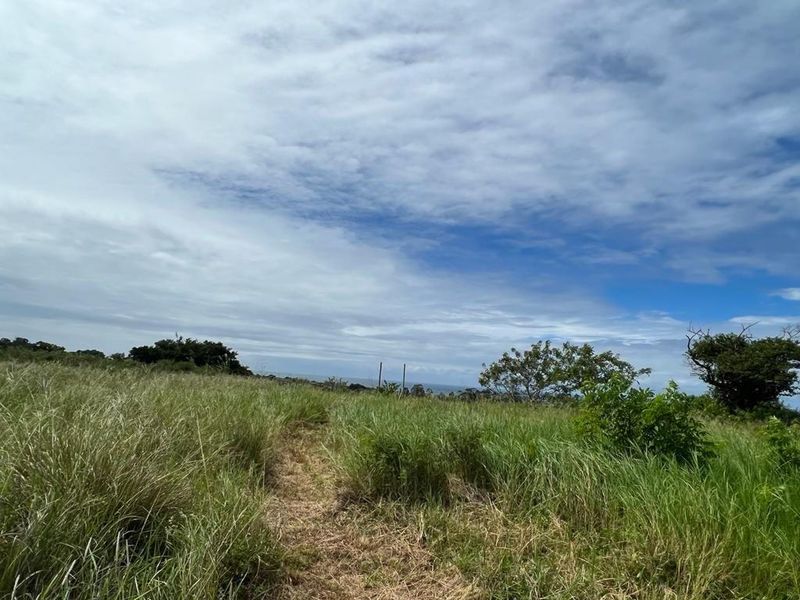 Prime Main Road Frontage Commercial Site For Sale - Photo 3