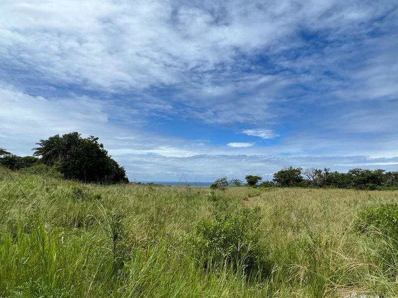 Prime Main Road Frontage Commercial Site For Sale - Photo 10