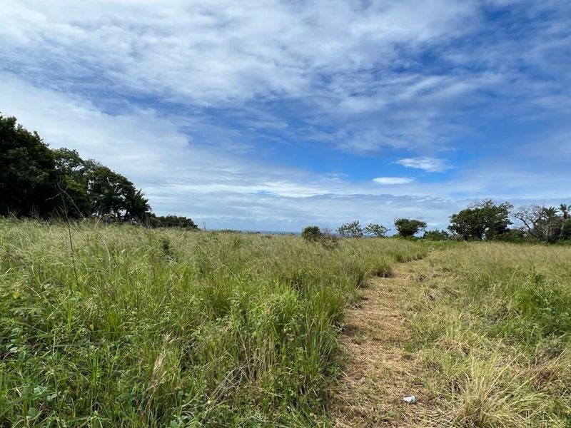 Prime Main Road Frontage Commercial Site For Sale - Photo 9