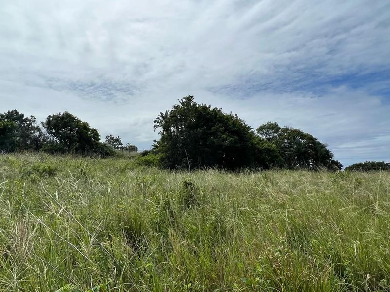 Prime Main Road Frontage Commercial Site For Sale - Photo 8