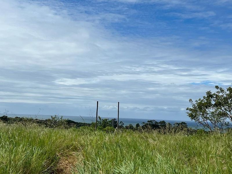 Prime Main Road Frontage Commercial Site For Sale - Photo 2