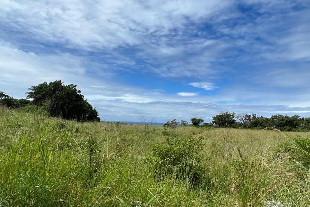 Prime Main Road Frontage Commercial Site For Sale - Photo 5