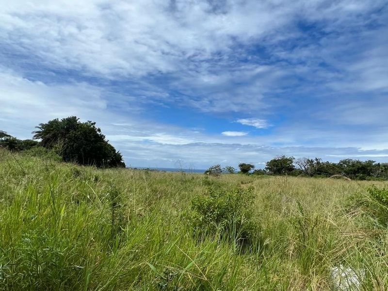 Prime Main Road Frontage Commercial Site For Sale - Photo 5