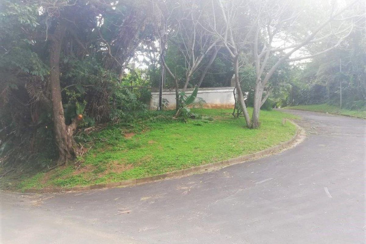 A view of the street frontage showing the asphalt road, concrete curbing, and a retaining wall bordering the residential land.