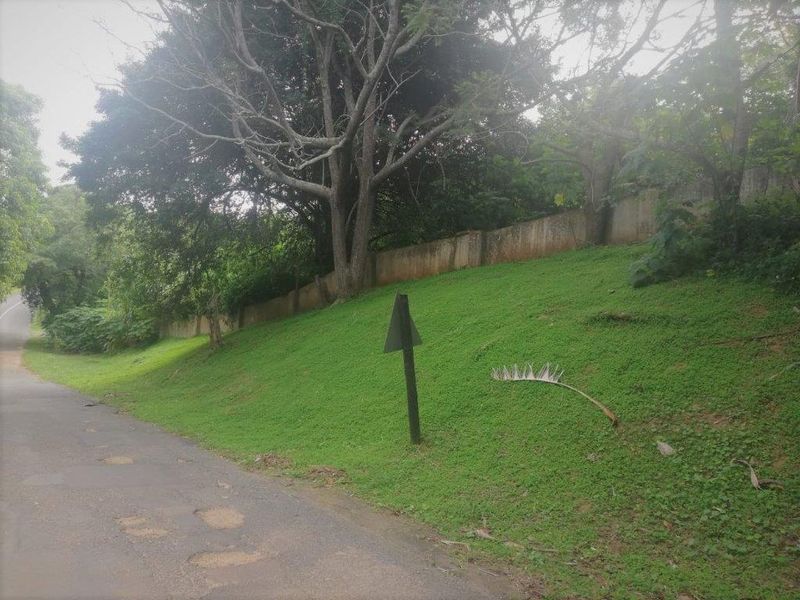 Corner Property In Good Position - Photo 6