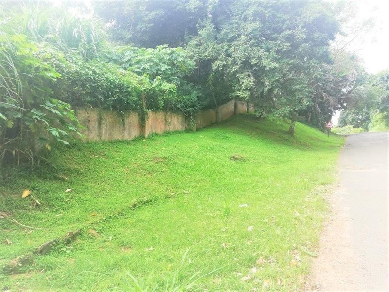 Corner Property In Good Position - Photo 2