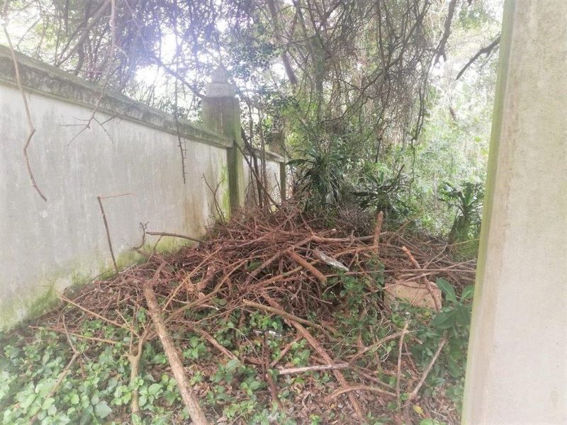 Corner Property In Good Position - Photo 4