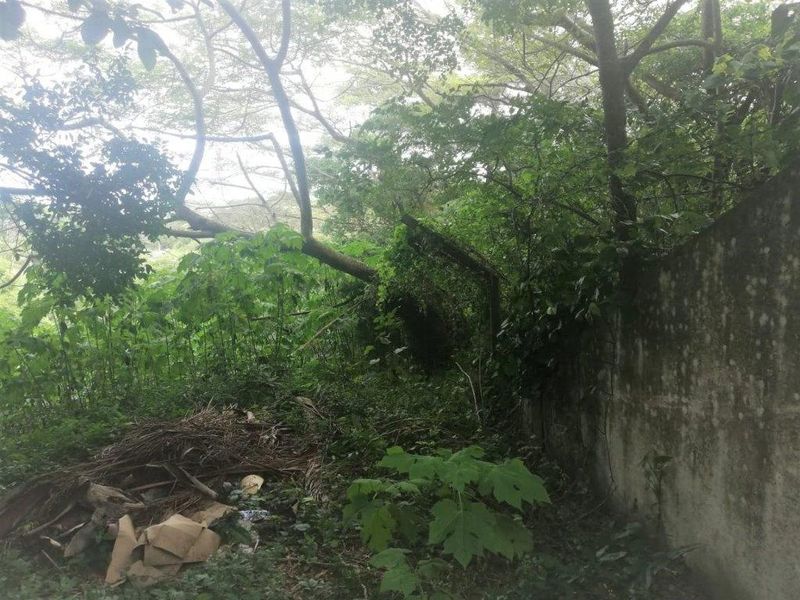 Corner Property In Good Position - Photo 5