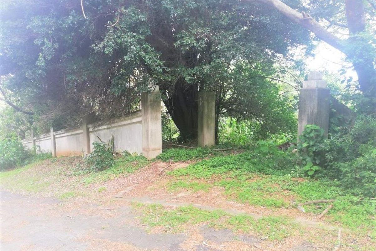 Corner Property In Good Position - Photo 3