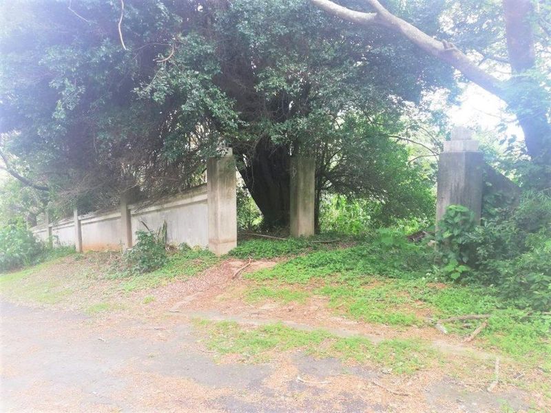 Corner Property In Good Position - Photo 3