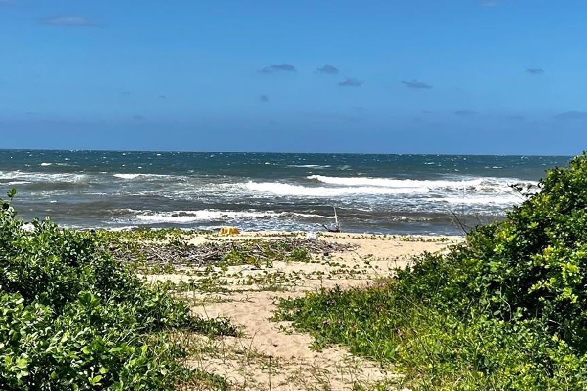 Upmarket Ground Floor Apartment On Shelly Beach - Photo 4