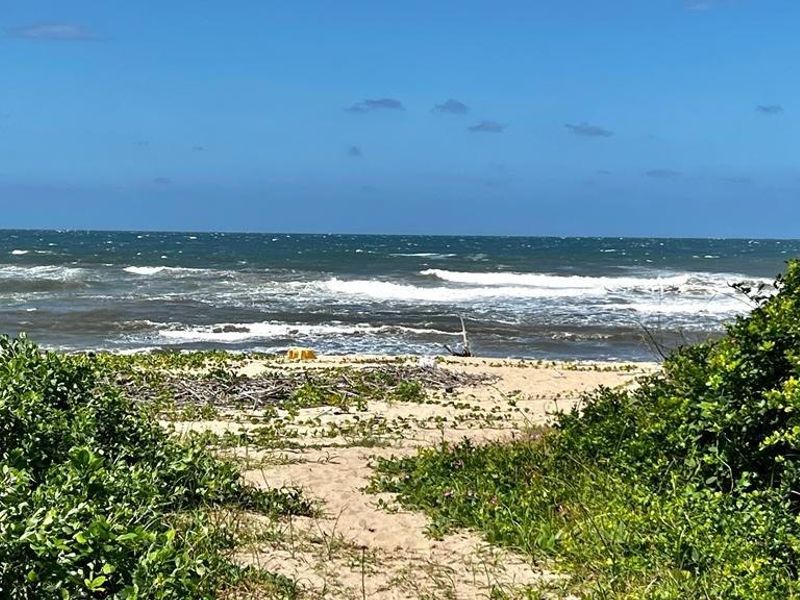 Upmarket Ground Floor Apartment On Shelly Beach - Photo 4