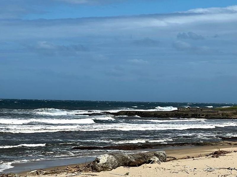 Upmarket Ground Floor Apartment On Shelly Beach - Photo 2