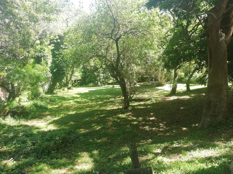 Large Vacant Stand In A Prime Spot - Photo 2