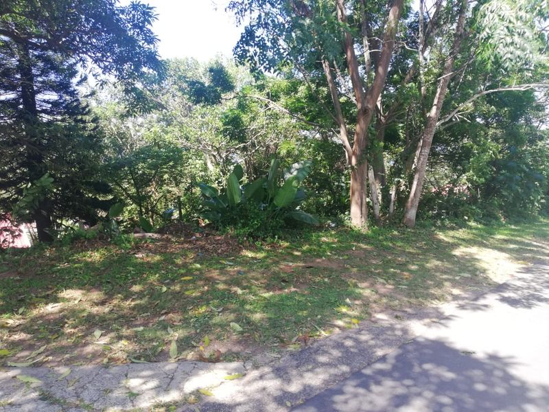 Large Vacant Stand In A Prime Spot - Photo 1