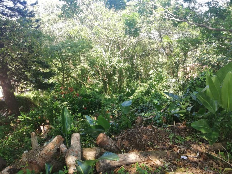 Large Vacant Stand In A Prime Spot - Photo 3