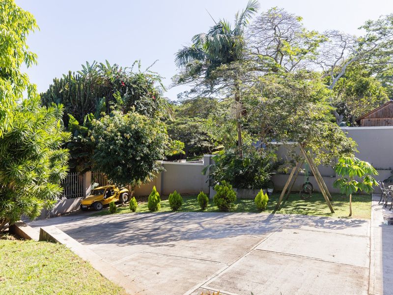 A spacious outdoor garden area featuring a concrete driveway, perimeter walling, and established mature trees providing a private and green setting.