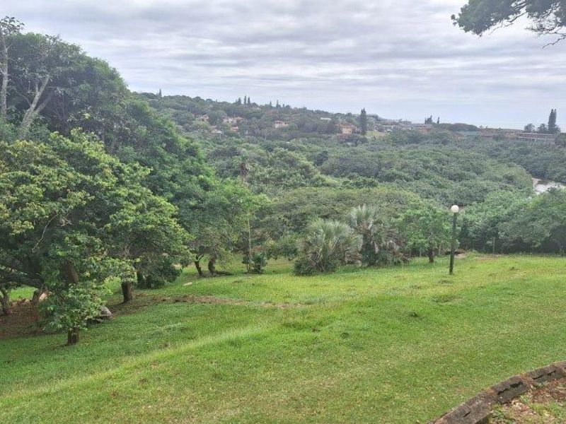A scenic view overlooking a lush, green landscape with mature trees and rolling hills, providing a peaceful natural outlook.