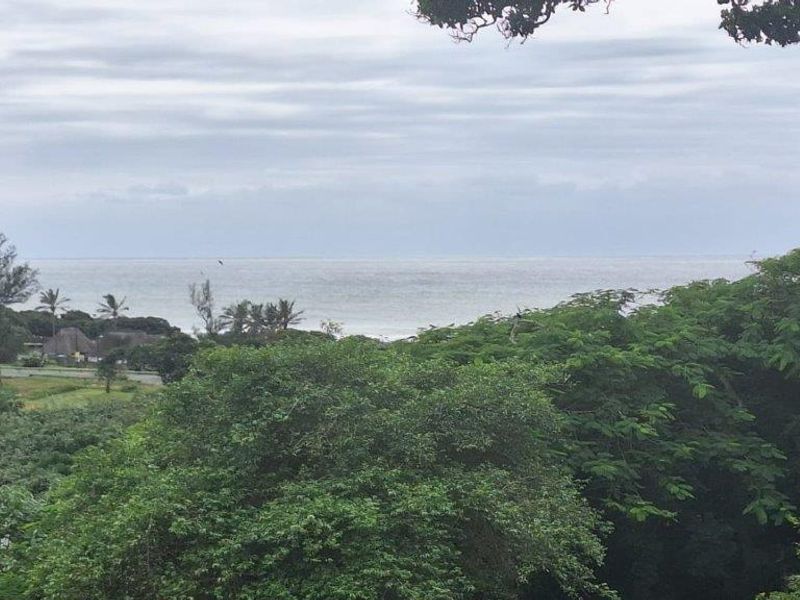 A scenic view overlooking lush coastal vegetation and the ocean horizon.