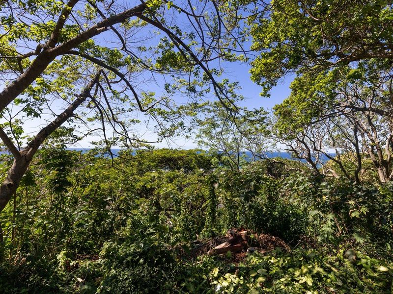 Prime Land With Sea Views !! - Photo 4