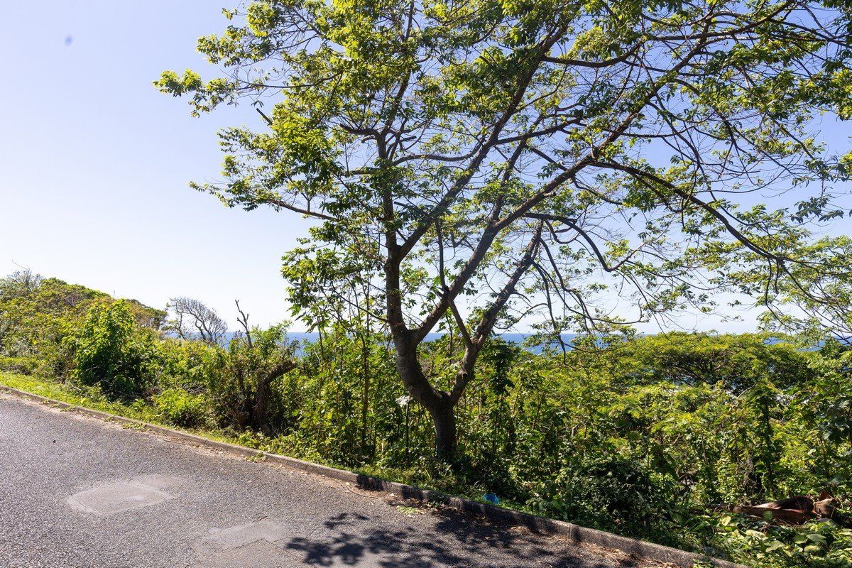 Prime Land With Sea Views !! - Photo 5