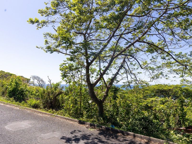 Prime Land With Sea Views !! - Photo 5