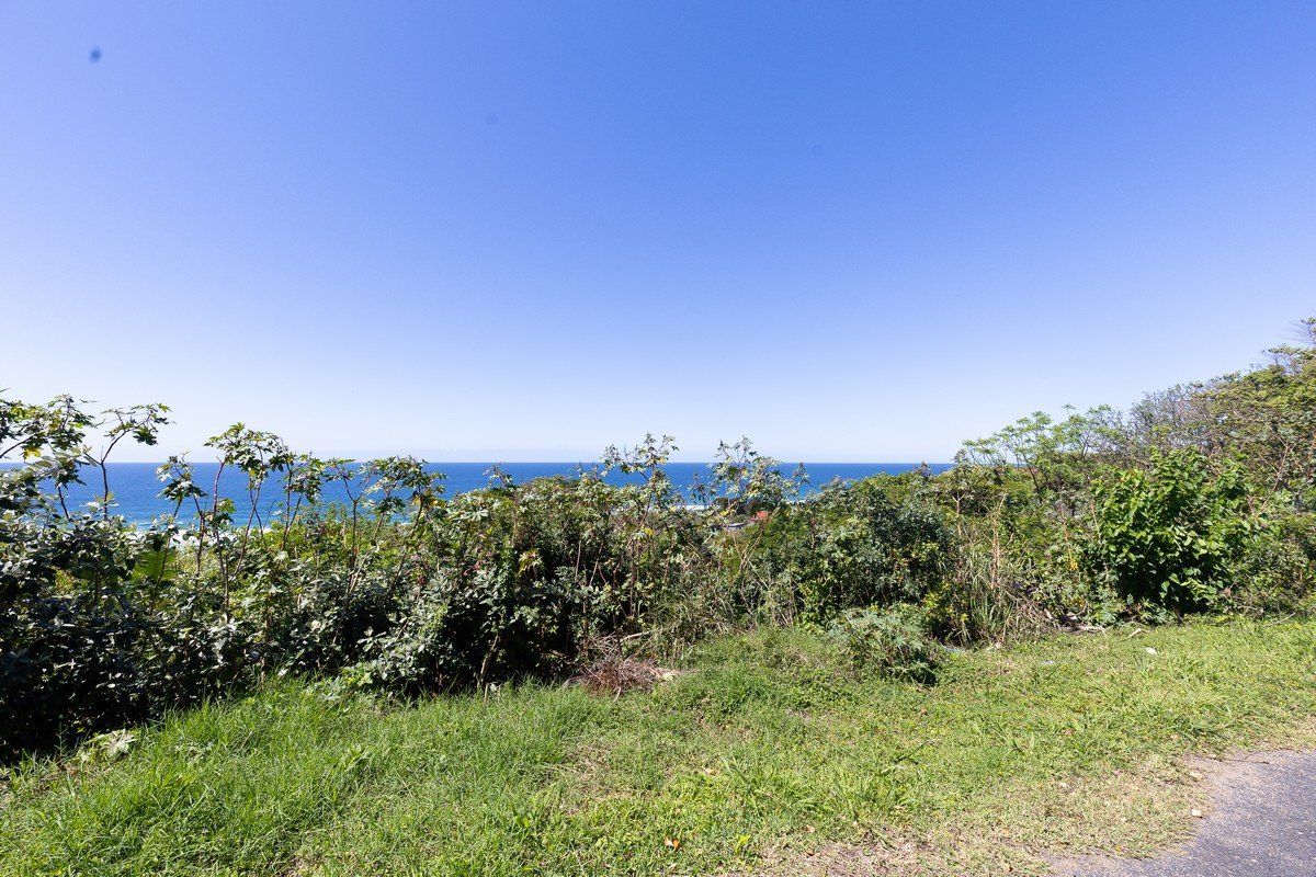 A scenic view of the ocean and coastal vegetation from the vacant residential land.