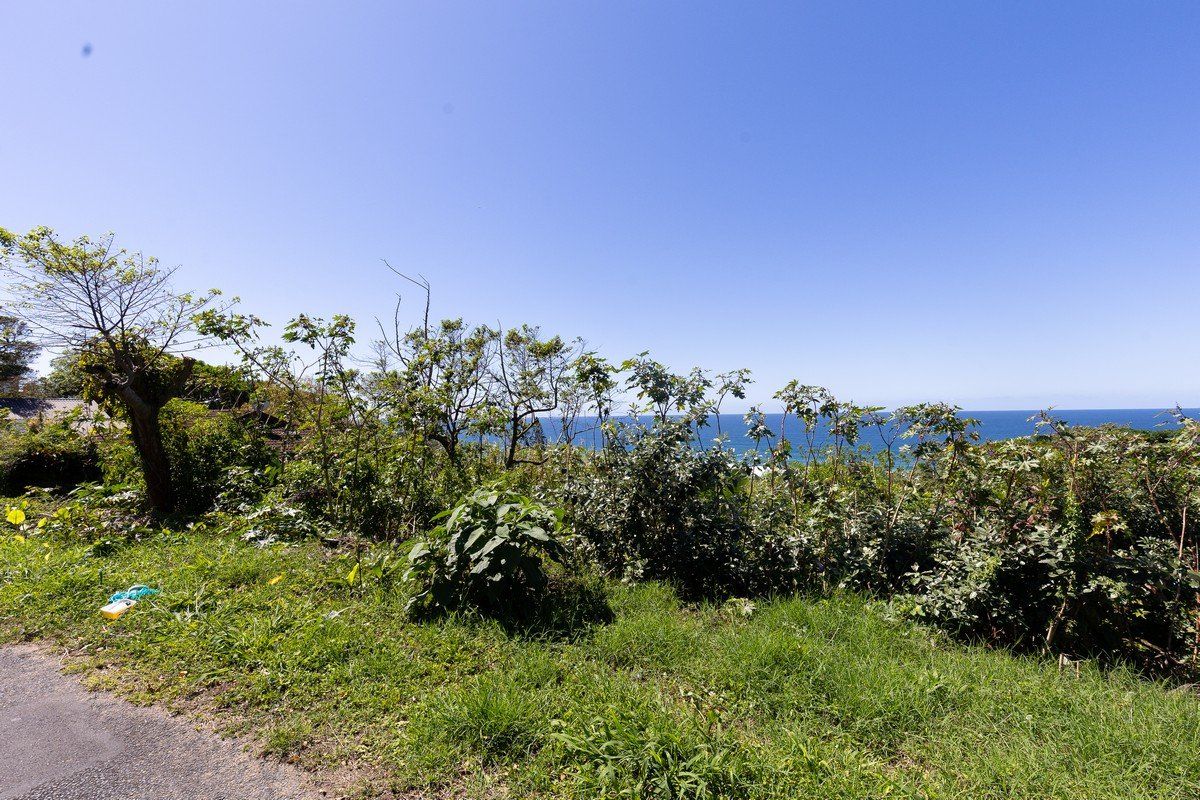 A scenic view of the ocean from the residential land, featuring natural coastal vegetation and clear horizon.