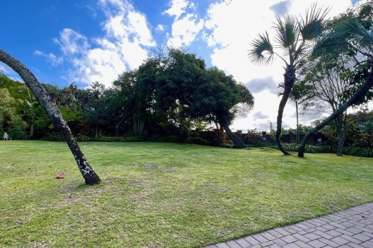 Luxurious Family Residence In The Heart Of Southbroom - Photo 3