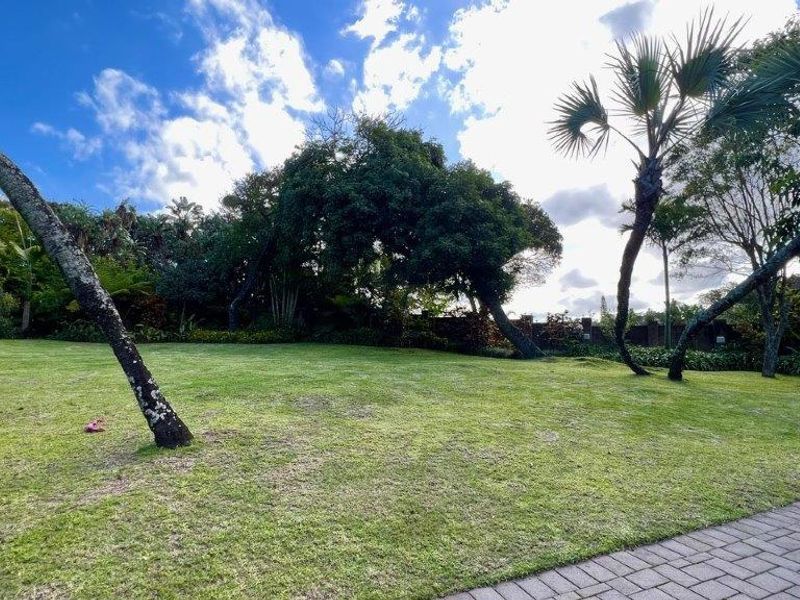 Luxurious Family Residence In The Heart Of Southbroom - Photo 3