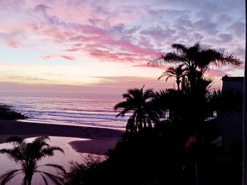 A scenic sunset view overlooking the ocean, beach, and coastal landscape, framed by silhouette palm trees.