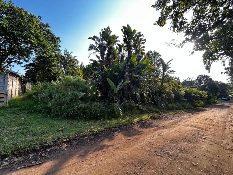 Why Not Build Your Dream Home !! - Photo 1