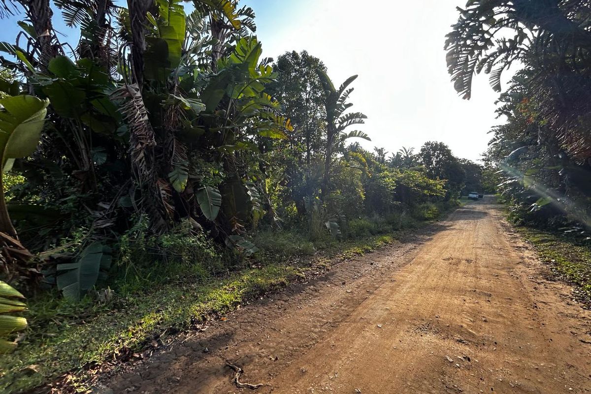 Why Not Build Your Dream Home !! - Photo 5