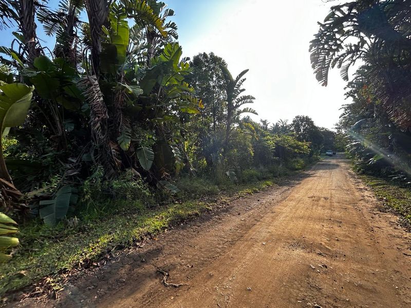 Why Not Build Your Dream Home !! - Photo 5