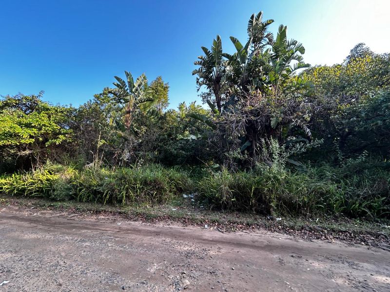 Why Not Build Your Dream Home !! - Photo 3